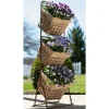 Shop All*3 TIER HARVEST BASKETS PLANTER STAND - Pet Home | The Perfect Pet Supplies Shopping Experience