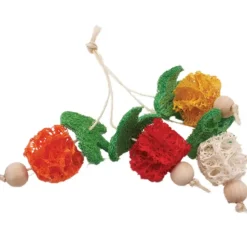 Pet Toys*A & E Cage Loofah Bunch of Fruits Small Animal Toy - Pet Home | The Perfect Pet Supplies Shopping Experience
