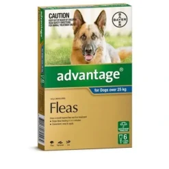 Cats*Advantage Blue 6pk Dogs over 25kg - Pet Home | The Perfect Pet Supplies Shopping Experience