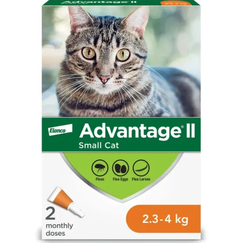 Cats*Advantage II, Advantage II - Feline Adult - 2.3-4 kg - Pet Home | The Perfect Pet Supplies Shopping Experience