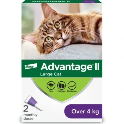 Cats*Advantage II, Advantage II - Feline Adult - 4 kg+ - Pet Home | The Perfect Pet Supplies Shopping Experience