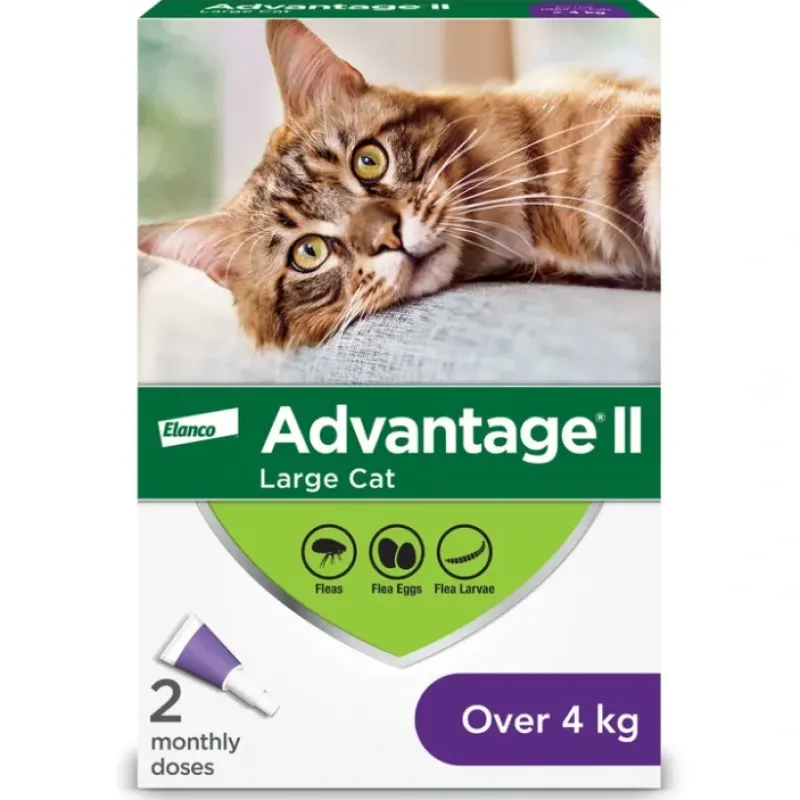 Cats*Advantage II, Advantage II - Feline Adult - 4 kg+ - Pet Home | The Perfect Pet Supplies Shopping Experience