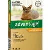 Cats*Advantage Orange for small cats and kittens single dose pack - Pet Home | The Perfect Pet Supplies Shopping Experience