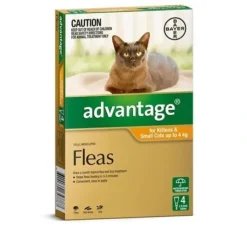 Cats*Advantage Orange 4pk Small Cats up to 4kg - Pet Home | The Perfect Pet Supplies Shopping Experience