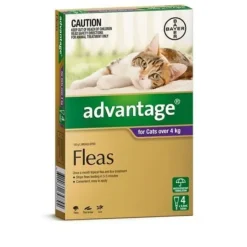 Cats*Advantage Purple 4pk Cats over 4kg - Pet Home | The Perfect Pet Supplies Shopping Experience