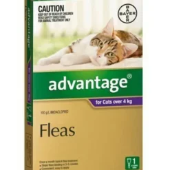 Cats*Advantage Purple Single Dose Pack for Cats over 4kg - Pet Home | The Perfect Pet Supplies Shopping Experience
