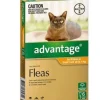 Cats*Advantage Small Cats Orange 6 pack Cats up to 4kg - Pet Home | The Perfect Pet Supplies Shopping Experience