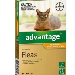 Cats*Advantage Small Cats Orange 6 pack Cats up to 4kg - Pet Home | The Perfect Pet Supplies Shopping Experience