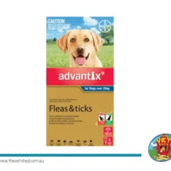 Cats*Advantix Blue Extra Large Dogs over 25kg 6pk - Pet Home | The Perfect Pet Supplies Shopping Experience