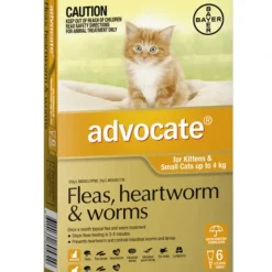 Cats*Advocate Cat Orange 6pk for small cats under 4kg - Pet Home | The Perfect Pet Supplies Shopping Experience