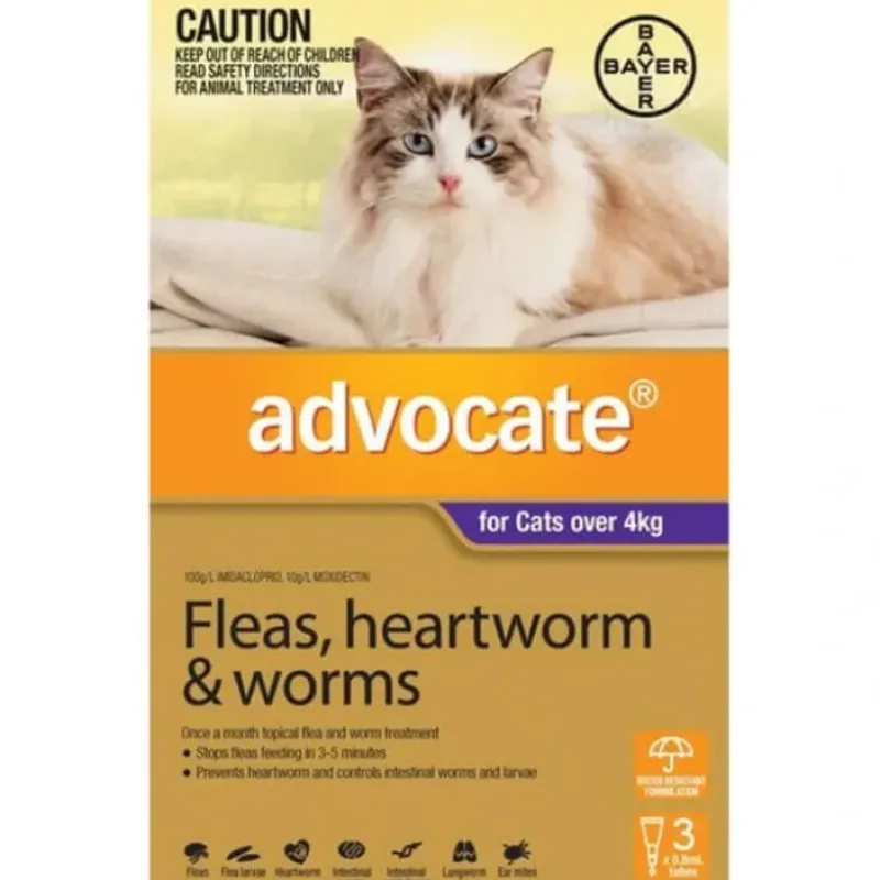 Cats*Advocate Cat Purple 3pk for large cats over 4kg - Pet Home | The Perfect Pet Supplies Shopping Experience