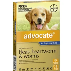 Cats*Advocate Extra Large Dog Blue (>25kg) 6pk - Pet Home | The Perfect Pet Supplies Shopping Experience