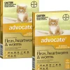Cats*Advocate Small Cat Orange (<4kg) 12pk - Pet Home | The Perfect Pet Supplies Shopping Experience