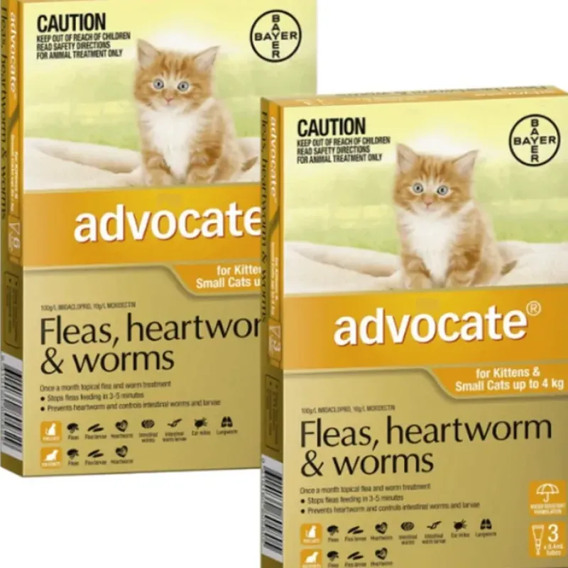 Cats*Advocate Small Cat Orange (<4kg) 12pk - Pet Home | The Perfect Pet Supplies Shopping Experience