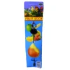 Pet Toys*Avione Metal Fruit Stick Spear - Pet Home | The Perfect Pet Supplies Shopping Experience