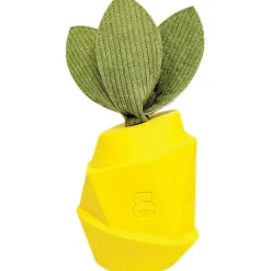 Pet Toys*Bozzy, Pineapple Chew Toy - Pet Home | The Perfect Pet Supplies Shopping Experience