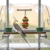Pet Toys*Caitec Bird Window Play Center - Pet Home | The Perfect Pet Supplies Shopping Experience