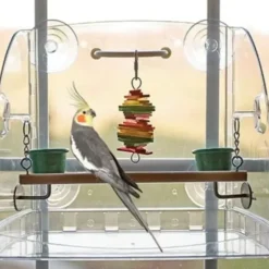 Pet Toys*Caitec Bird Window Play Center - Pet Home | The Perfect Pet Supplies Shopping Experience