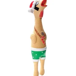 Pet Toys*Charming Pet, Sqwkrs Earl - Small - Pet Home | The Perfect Pet Supplies Shopping Experience