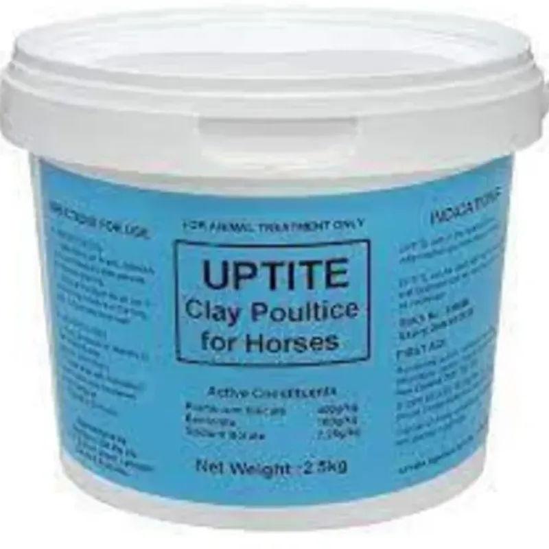 Dogs**CLEARANCE* DGG Puppy Shampoo 400ml - Pet Home | The Perfect Pet Supplies Shopping Experience