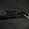 Dogs*"Frenchie" Set- collar & leash. Black - Pet Home | The Perfect Pet Supplies Shopping Experience