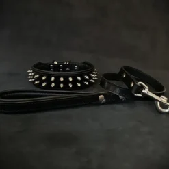 Dogs*"Frenchie" Set- collar & leash. Black - Pet Home | The Perfect Pet Supplies Shopping Experience