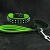 Dogs*"Frenchie" Set- collar & leash. Green - Pet Home | The Perfect Pet Supplies Shopping Experience