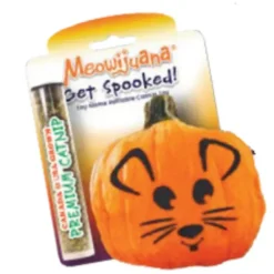 Pet Toys|Meowijuana Get Spooked Refillable Pumpkin Cat Toy (1 Count) - Pet Home | The Perfect Pet Supplies Shopping Experience