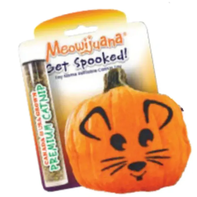 Pet Toys|Meowijuana Get Spooked Refillable Pumpkin Cat Toy (1 Count) - Pet Home | The Perfect Pet Supplies Shopping Experience