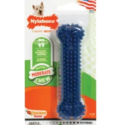 Pet Toys|Nylabone Dental Chew Bone Dog Toy (Petite) - Pet Home | The Perfect Pet Supplies Shopping Experience