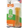 Pet Toys|Nylabone FlexiChew Chicken Flavor Bone Dog Toy (Regular) - Pet Home | The Perfect Pet Supplies Shopping Experience