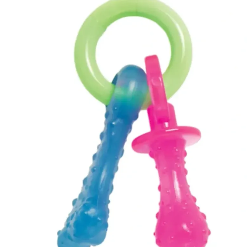 Pet Toys|Nylabone Puppy Chew Teething Pacifier Bacon - Pet Home | The Perfect Pet Supplies Shopping Experience