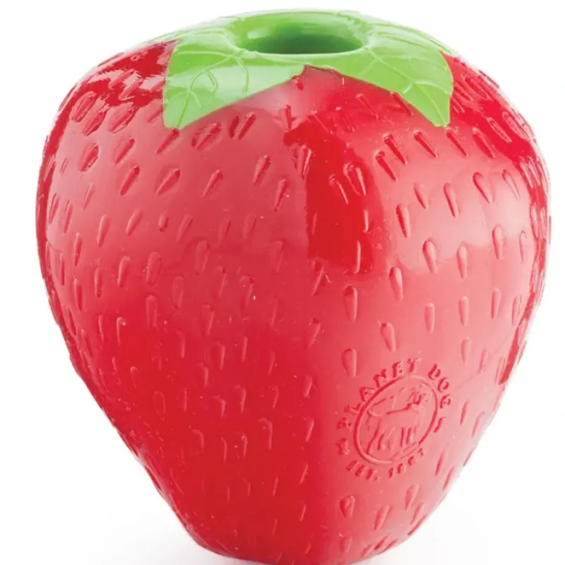 Pet Toys|Orbee-Tuff Strawberry Treat-Dispensing Dog Chew Toy (Pink) - Pet Home | The Perfect Pet Supplies Shopping Experience