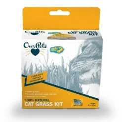Cats|OurPets Kitty Cat Grass - Pet Home | The Perfect Pet Supplies Shopping Experience