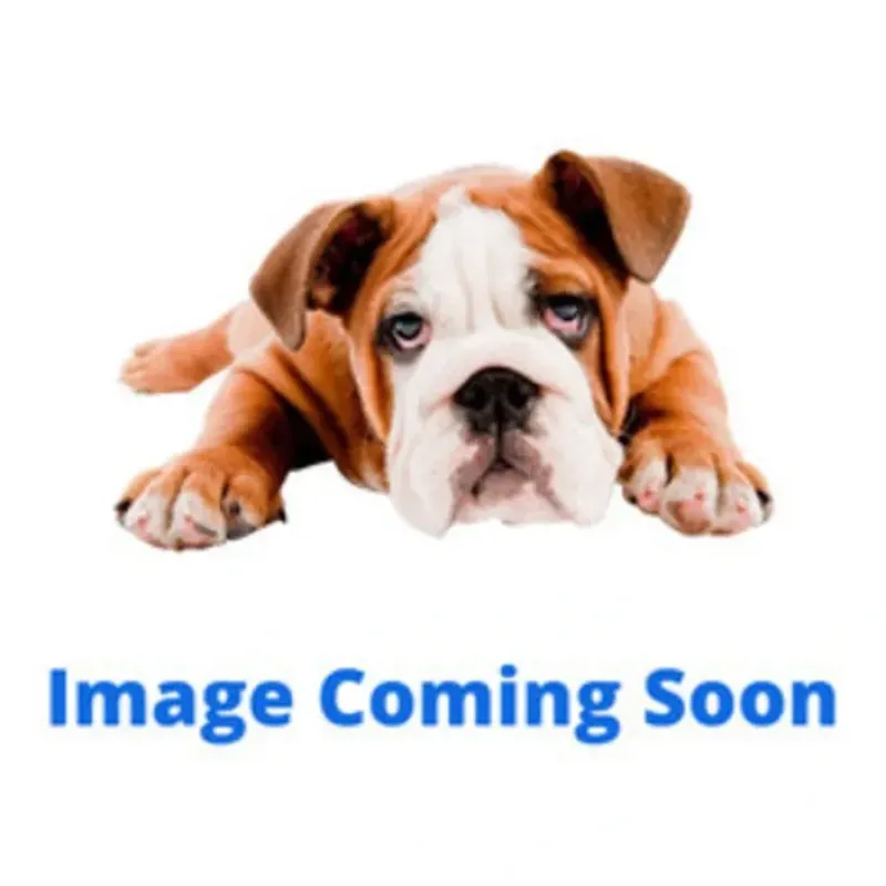 Discount Outward Hound, Hedgehogz - Large - Pet Home | The Perfect Pet Supplies Shopping Experience Pet Toys