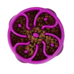 Online Outward Hound Slow Feeder Dog Bowl - Pet Home | The Perfect Pet Supplies Shopping Experience Dogs