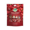 Best Sale Oxbow Animal Health Simple Rewards Strawberry Treats - Pet Home | The Perfect Pet Supplies Shopping Experience Shop All