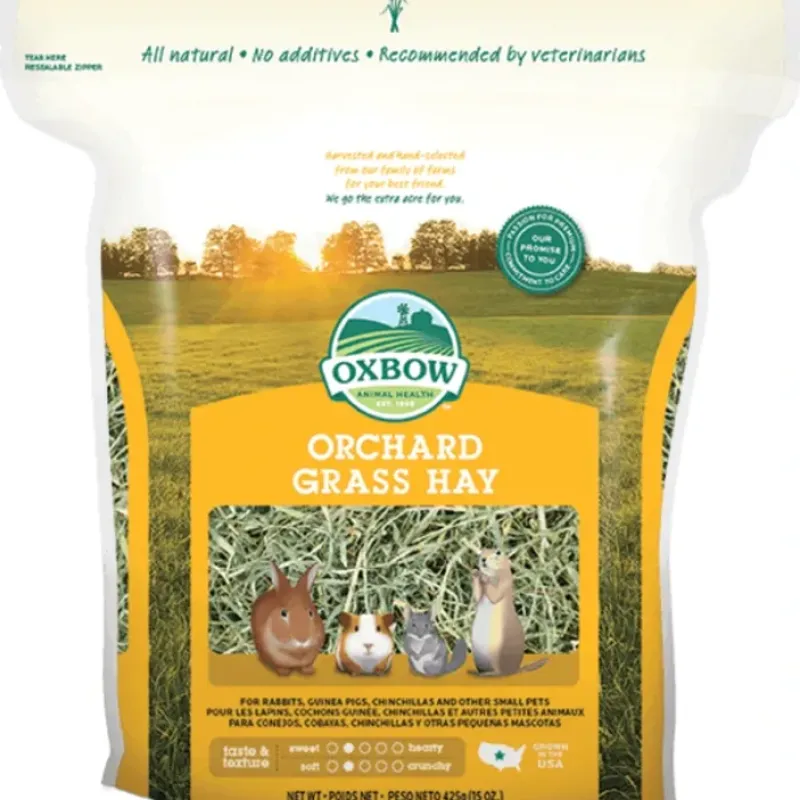 Online Oxbow Orchard Grass Hay 425g - Pet Home | The Perfect Pet Supplies Shopping Experience Pet Toys