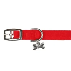 Cheap Peaches N Cream Collar - Pet Home | The Perfect Pet Supplies Shopping Experience Shop All