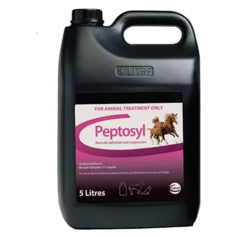 Sale Peptosyl 5 Litre - Pet Home | The Perfect Pet Supplies Shopping Experience Dogs