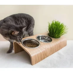 Online Pet feeding station with 3 bowls, Pet bowls with stand: Oak - Pet Home | The Perfect Pet Supplies Shopping Experience Cats