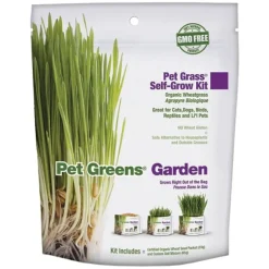Clearance Pet Greens, Wheat Grass Kit - 113 g - Pet Home | The Perfect Pet Supplies Shopping Experience Cats