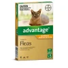 Best Pet Shop Direct - Advantage Kittens & Small Cats Upto 4kg 4 Pack - Pet Home | The Perfect Pet Supplies Shopping Experience Cats