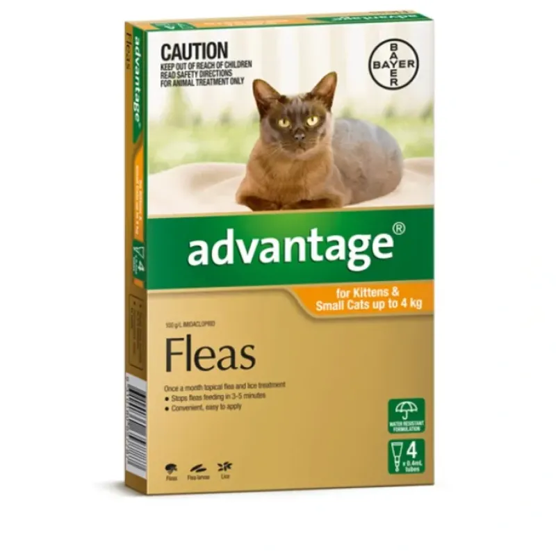 Best Pet Shop Direct - Advantage Kittens & Small Cats Upto 4kg 4 Pack - Pet Home | The Perfect Pet Supplies Shopping Experience Cats