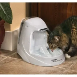 Cheap Pet Shop Direct - Drinkwell Platinum Pet Fountain 5 Litres - Pet Home | The Perfect Pet Supplies Shopping Experience Cats
