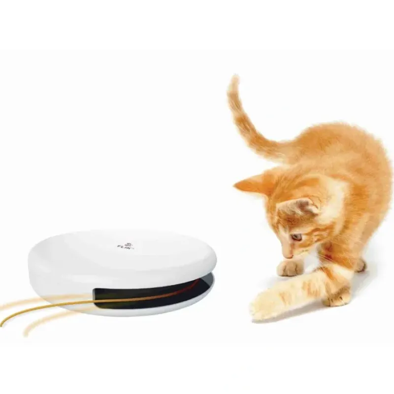 Online Pet Shop Direct - FroliCat Flik - Pet Home | The Perfect Pet Supplies Shopping Experience Pet Toys