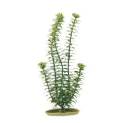 Best Pet Shop Direct - Marina Aquascaper Plastic Plant Anacharis 30cm - Pet Home | The Perfect Pet Supplies Shopping Experience Shop All