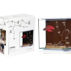 Best Pet Shop Direct - Marina Betta Kit Contemporary Tank 3L - Pet Home | The Perfect Pet Supplies Shopping Experience Shop All