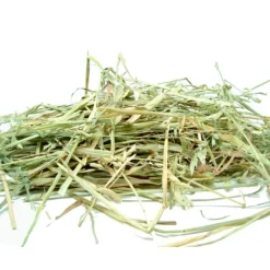 Best Pet Shop Direct - Oaten Hay 1kg - Pet Home | The Perfect Pet Supplies Shopping Experience Shop All