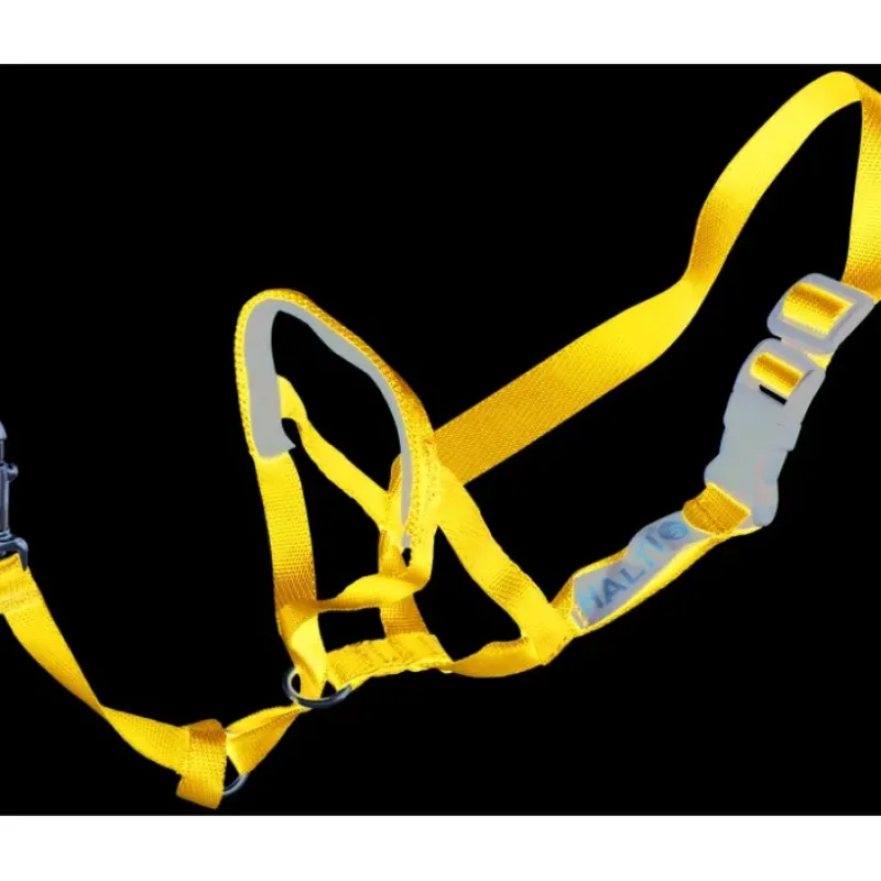 Flash Sale Pet Shop Direct - PetLife Halti Head Collar Blue Large - Pet Home | The Perfect Pet Supplies Shopping Experience Pet Toys